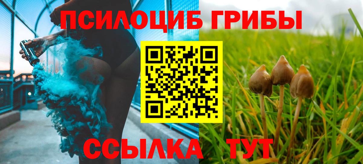 Псилоцибиновые грибы мухоморы  Вход с VPN  Альметьевск 